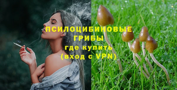 ECSTASY Бугульма